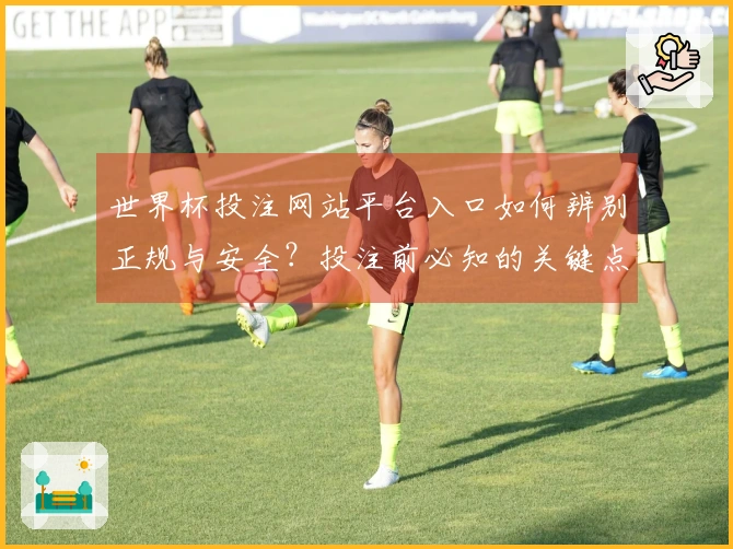 世界杯投注网站平台入口如何辨别正规与安全？投注前必知的关键点
