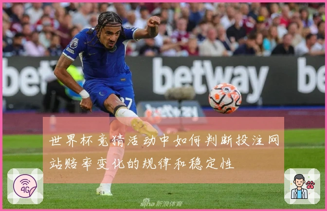 世界杯竞猜活动中如何判断投注网站赔率变化的规律和稳定性