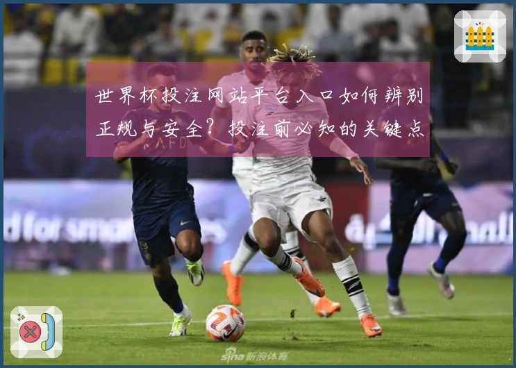 世界杯投注网站平台入口如何辨别正规与安全？投注前必知的关键点