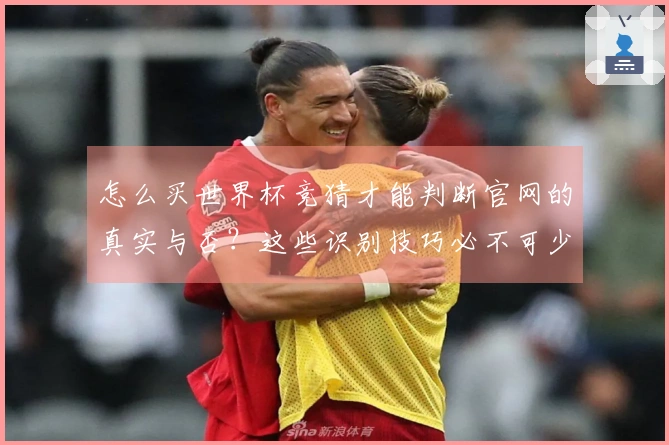 怎么买世界杯竞猜才能判断官网的真实与否？这些识别技巧必不可少