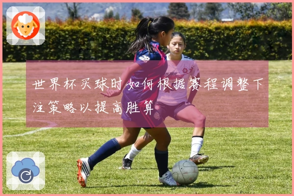 世界杯买球时如何根据赛程调整下注策略以提高胜算