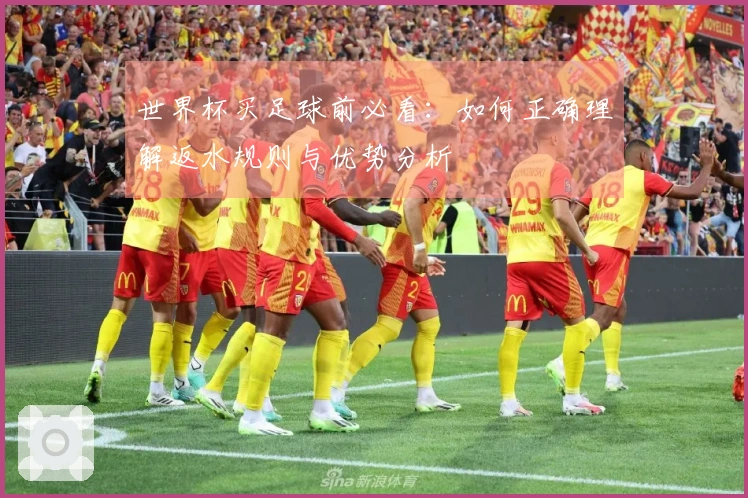 世界杯买足球前必看：如何正确理解返水规则与优势分析