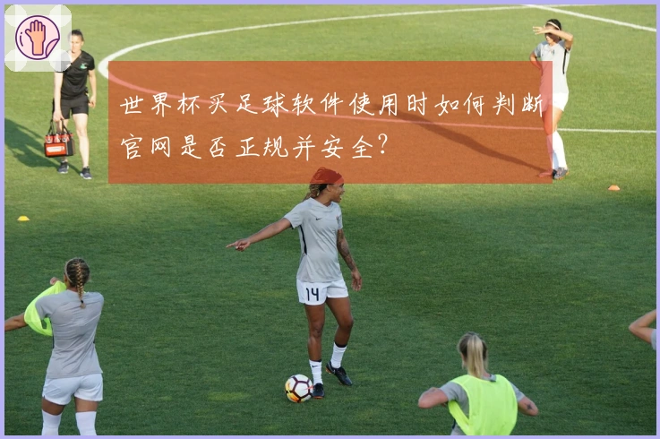 世界杯买足球软件使用时如何判断官网是否正规并安全？